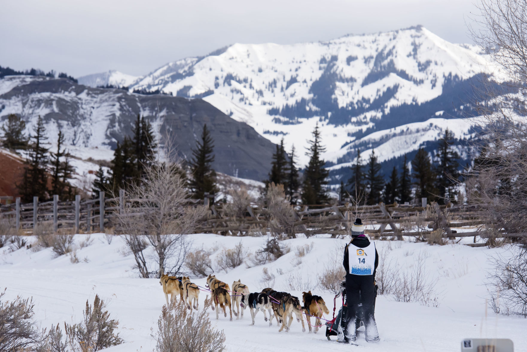 Teton County leg
